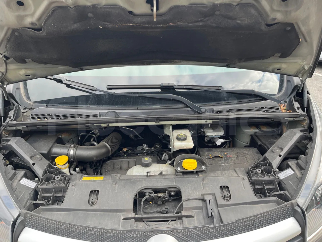 Kleinbus, Personentransporter Opel Vivaro - B: das Bild 17