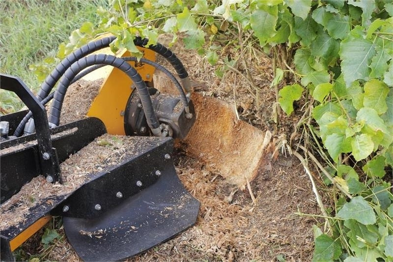 Leasing für Laski P56 RX Laski P56 RX: das Bild 7 Leasing für Laski P56 RX Laski P56 RX: das Bild 7