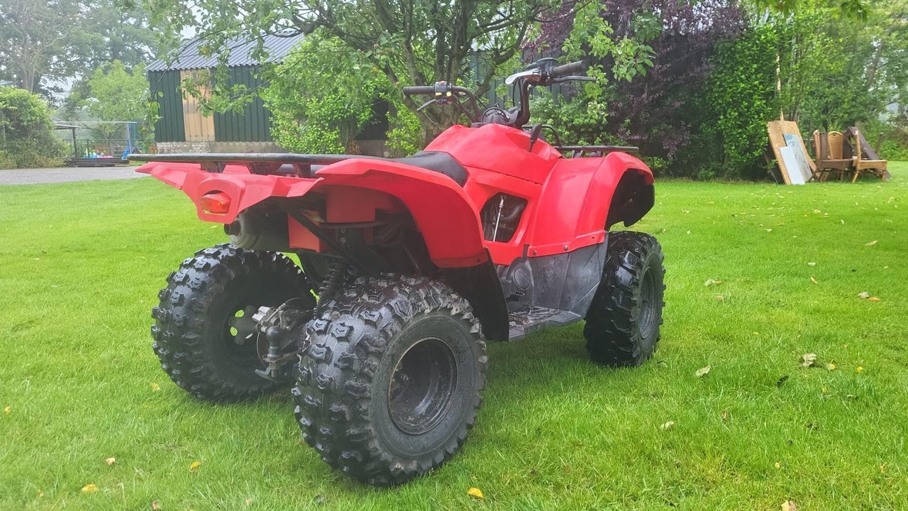Yamaha Grizzly 300 - Quad: das Bild 4 Yamaha Grizzly 300 - Quad: das Bild 4