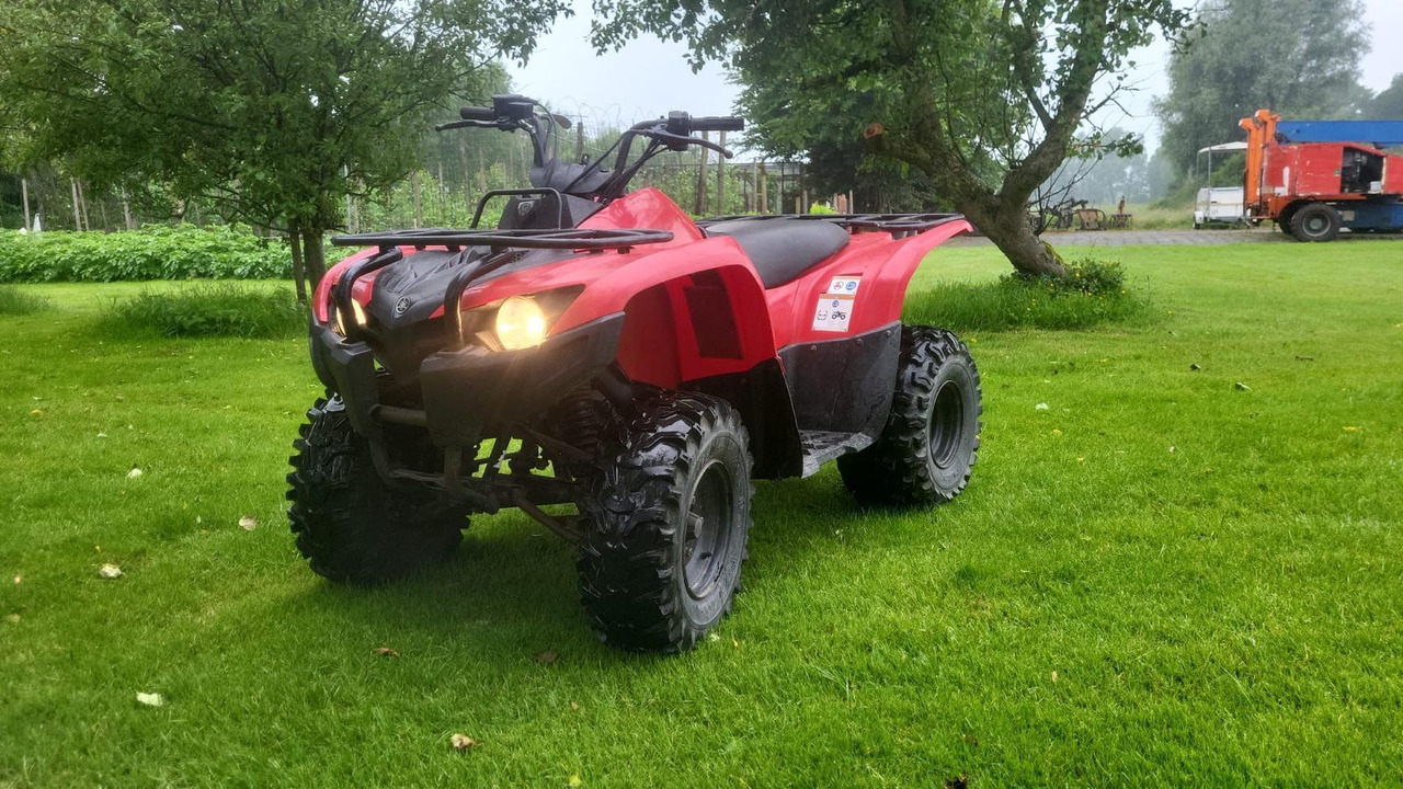 Yamaha Grizzly 300 - Quad: das Bild 1 Yamaha Grizzly 300 - Quad: das Bild 1