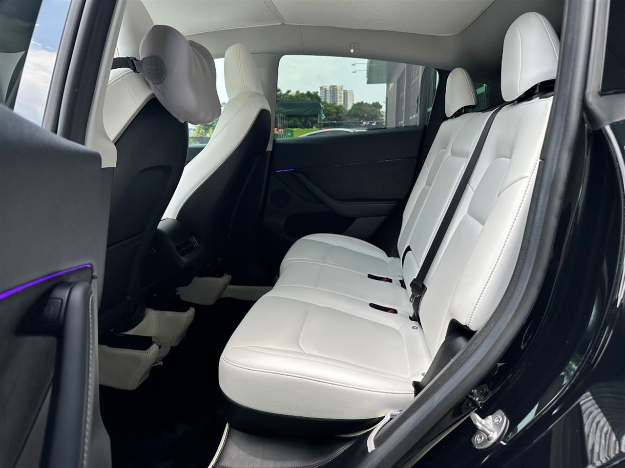 TESLA MODEL Y - PKW: das Bild 3 TESLA MODEL Y - PKW: das Bild 3