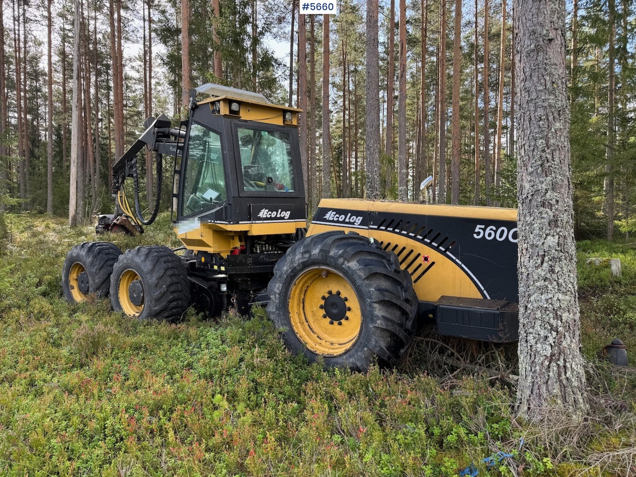 2010 Eco Log 560C. - Harvester: das Bild 4 2010 Eco Log 560C. - Harvester: das Bild 4