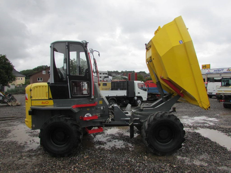 WACKER NEUSON DW 60 Dumper 32.500 EUR - Muldenkipper/ Dumper: das Bild 5 WACKER NEUSON DW 60 Dumper 32.500 EUR - Muldenkipper/ Dumper: das Bild 5
