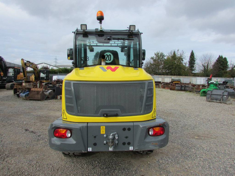 Radlader WACKER NEUSON WL 60 Radlader 48.500 EUR: das Bild 8
