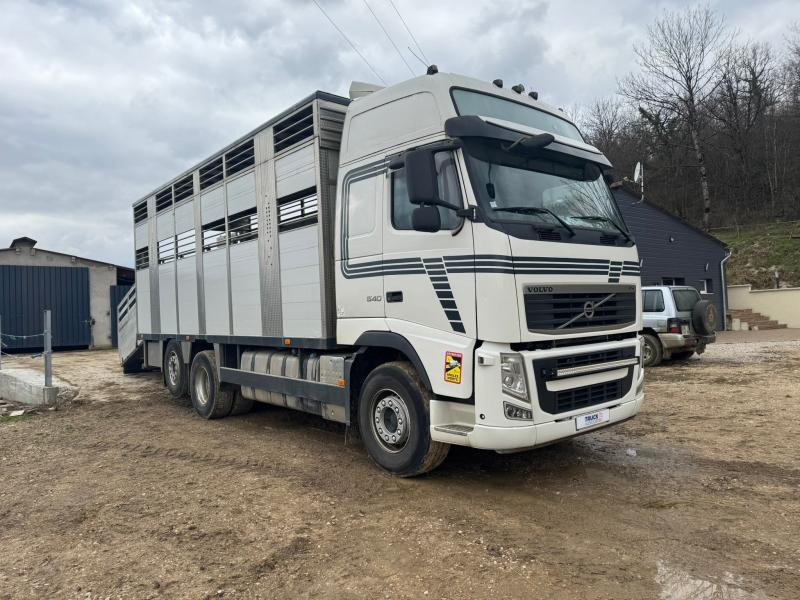 Volvo FH 540 - Tiertransporter LKW: das Bild 2 Volvo FH 540 - Tiertransporter LKW: das Bild 2