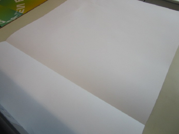 HAND RILLER A3 - Druckmaschine: das Bild 3 HAND RILLER A3 - Druckmaschine: das Bild 3