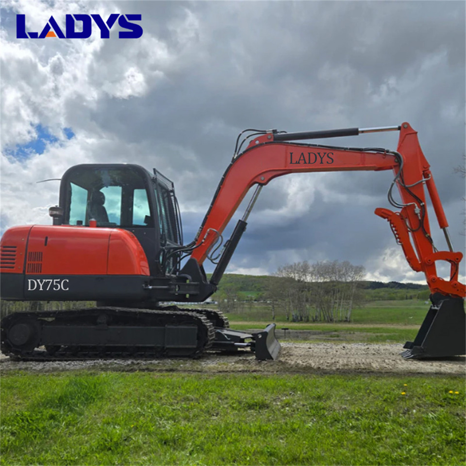 LADYS DY75C Small Excavator Euro 5/Epa Yanmar Engine Small Excavator Crawler Excavator For Sale - Kettenbagger: das Bild 1 LADYS DY75C Small Excavator Euro 5/Epa Yanmar Engine Small Excavator Crawler Excavator For Sale - Kettenbagger: das Bild 1