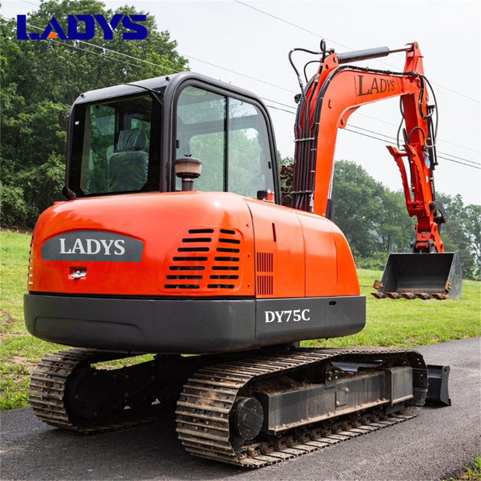 LADYS DY75C Small Excavator Euro 5/Epa Yanmar Engine Small Excavator Crawler Excavator For Sale - Kettenbagger: das Bild 3 LADYS DY75C Small Excavator Euro 5/Epa Yanmar Engine Small Excavator Crawler Excavator For Sale - Kettenbagger: das Bild 3