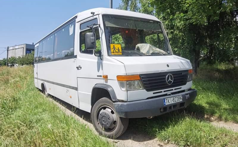 Mercedes-Benz Vario 813D 37+12 - Überlandbus: das Bild 1 Mercedes-Benz Vario 813D 37+12 - Überlandbus: das Bild 1