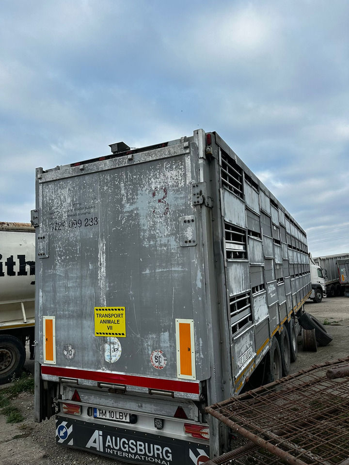PEZZAIOLLI Animal Transport Semi-trailer - Tiertransporter Auflieger: das Bild 3 PEZZAIOLLI Animal Transport Semi-trailer - Tiertransporter Auflieger: das Bild 3