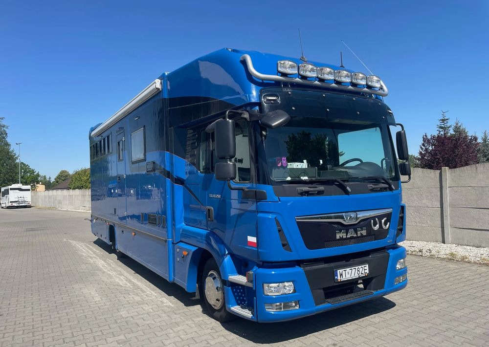 MAN TGL 12.250/ KONIOWÓZ- ROELOFSEN/ 4 KONIE/ - Pferdetransporter: das Bild 2 MAN TGL 12.250/ KONIOWÓZ- ROELOFSEN/ 4 KONIE/ - Pferdetransporter: das Bild 2