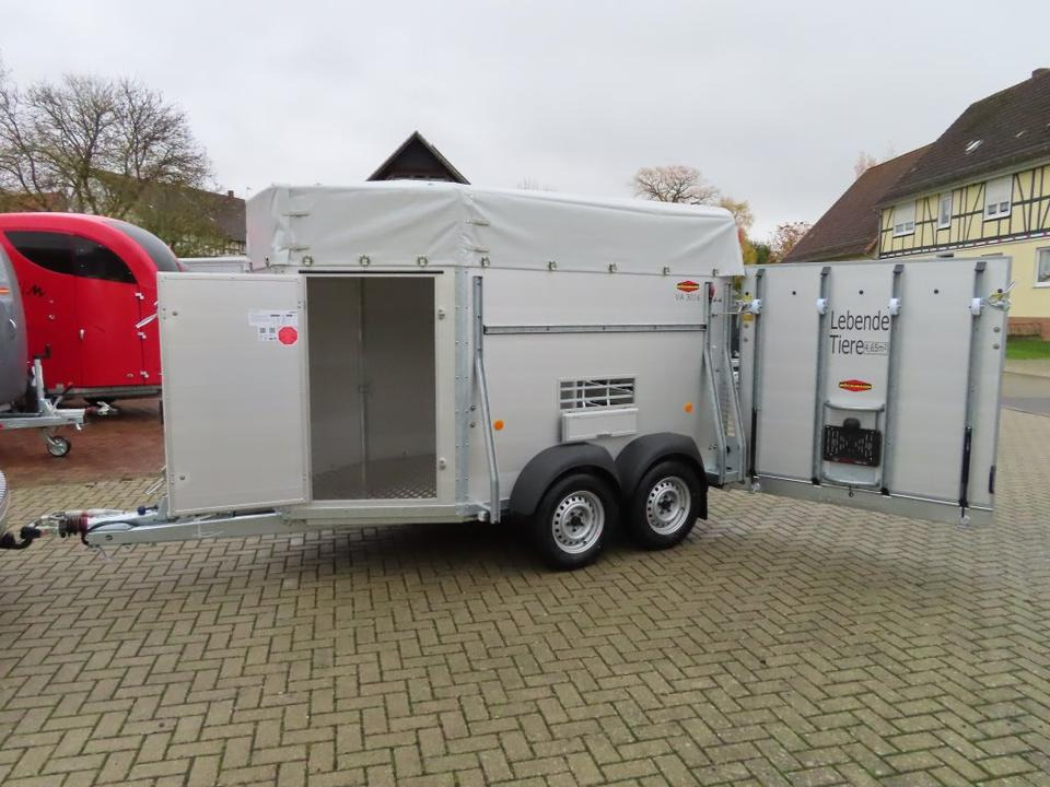 Böckmann Viehanhänger, 2,4 to. Tür/Rampekombi, Humbaur, Fendt - Tiertransporter Anhänger: das Bild 1 Böckmann Viehanhänger, 2,4 to. Tür/Rampekombi, Humbaur, Fendt - Tiertransporter Anhänger: das Bild 1