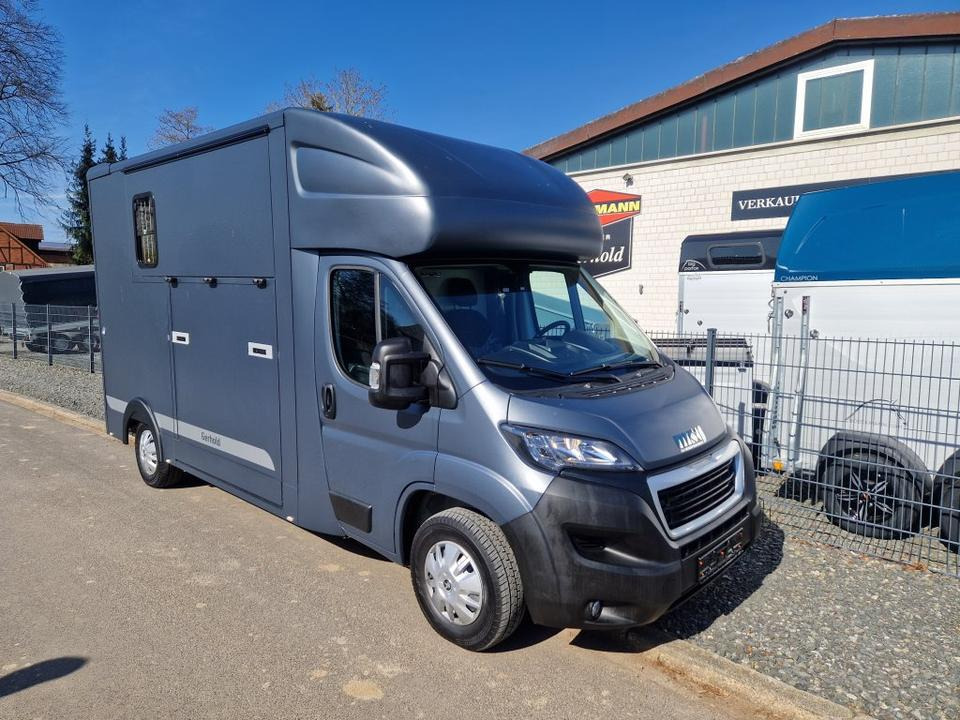 MSG Stablehopper Pferdetransporter Pferdeanhänger Böckmann - Pferdetransporter: das Bild 3 MSG Stablehopper Pferdetransporter Pferdeanhänger Böckmann - Pferdetransporter: das Bild 3