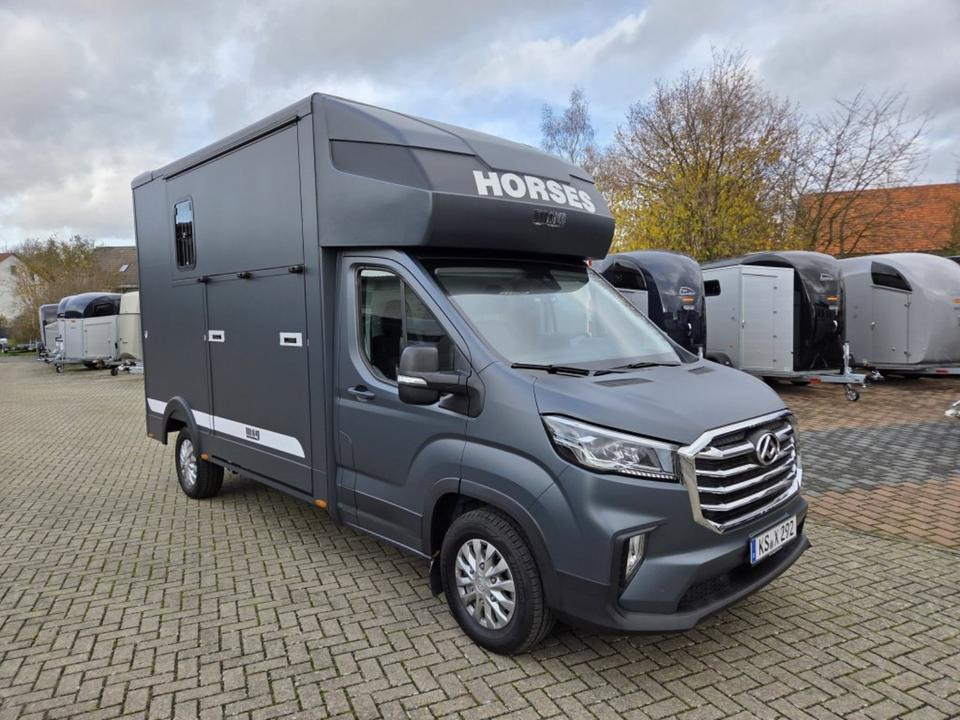 MSG Stablehopper Pferdetransporter Pferdeanhänger Böckmann - Pferdetransporter: das Bild 5 MSG Stablehopper Pferdetransporter Pferdeanhänger Böckmann - Pferdetransporter: das Bild 5