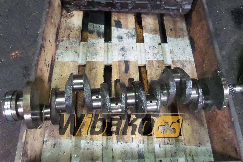 Crankshaft Isuzu 6BG1TPC-01 - Kurbelwelle für Baumaschine: das Bild 1 Crankshaft Isuzu 6BG1TPC-01 - Kurbelwelle für Baumaschine: das Bild 1