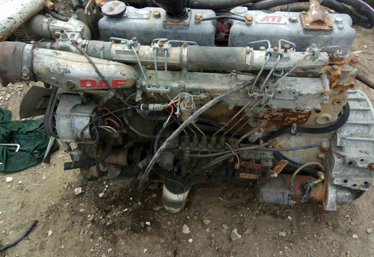 DAF ATI WS259 E2 DAF - Motor für LKW: das Bild 1 DAF ATI WS259 E2 DAF - Motor für LKW: das Bild 1