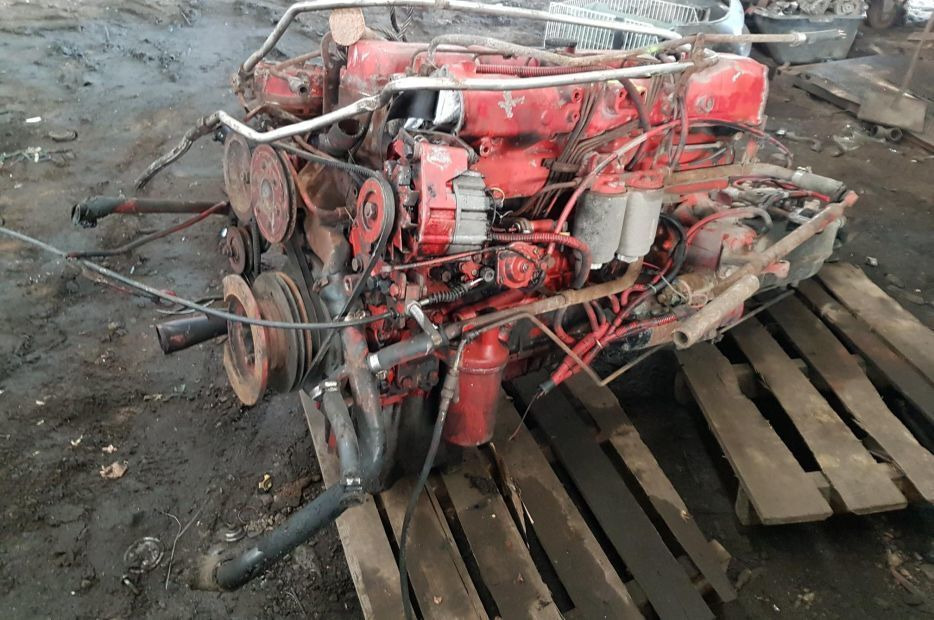 MAN D0226 MKF/170 Van Hool T8-Series - Motor für LKW: das Bild 1 MAN D0226 MKF/170 Van Hool T8-Series - Motor für LKW: das Bild 1