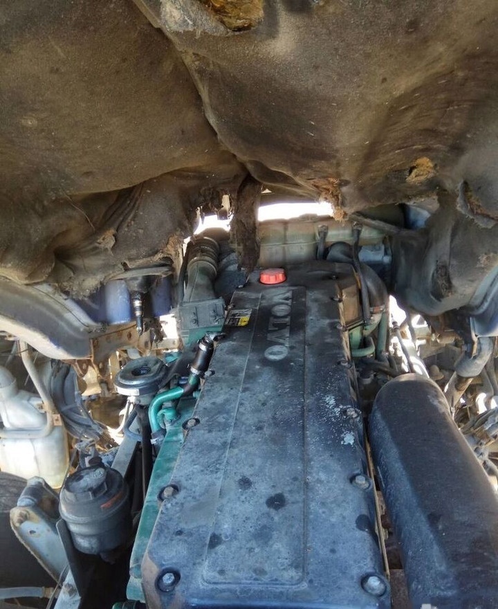 Volvo D12C 460 E3 Volvo FH 12 - Motor für LKW: das Bild 1 Volvo D12C 460 E3 Volvo FH 12 - Motor für LKW: das Bild 1