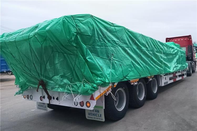 TITAN 60 Ton Low Bed Trailer for Sale In Tananiza - Tieflader Auflieger: das Bild 4 TITAN 60 Ton Low Bed Trailer for Sale In Tananiza - Tieflader Auflieger: das Bild 4