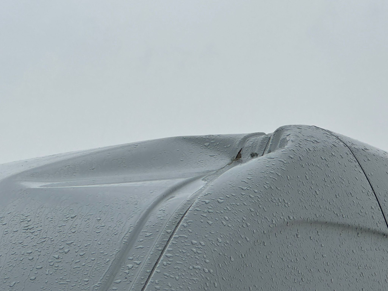 Kastenwagen Mercedes Benz Sprinter: das Bild 21