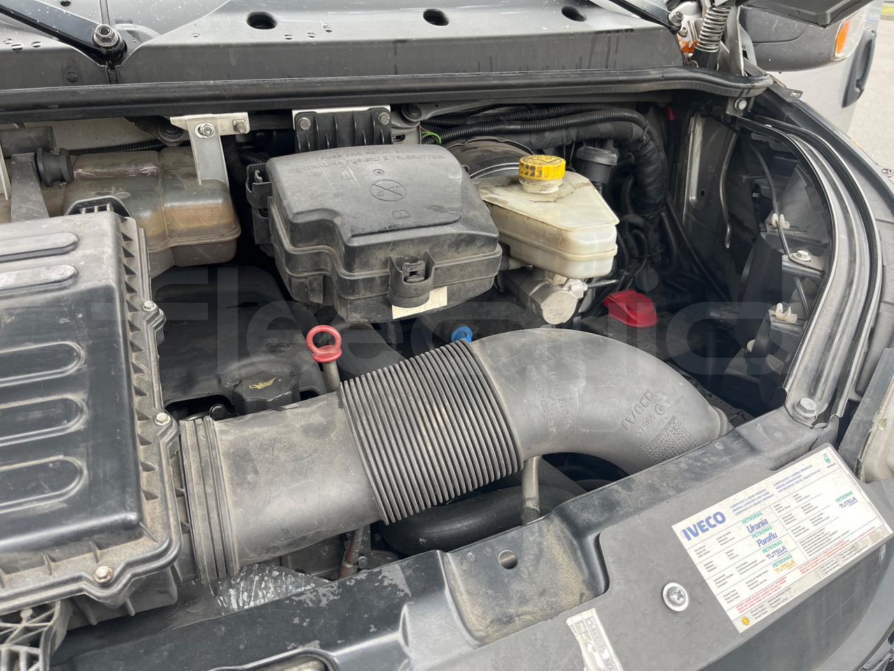 Kleinbus, Personentransporter Iveco Daily: das Bild 15