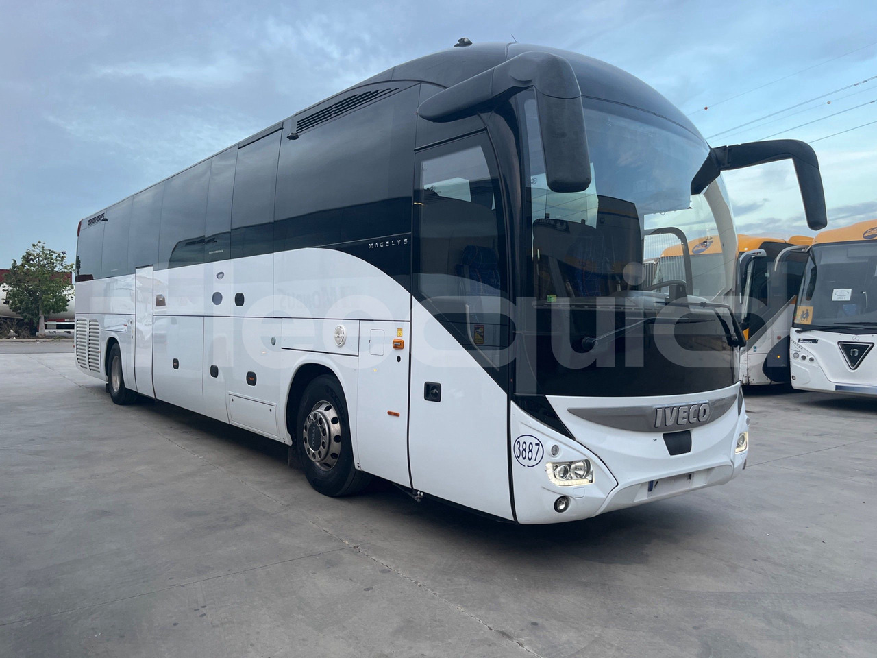 Iveco Magelys - Reisebus: das Bild 1 Iveco Magelys - Reisebus: das Bild 1