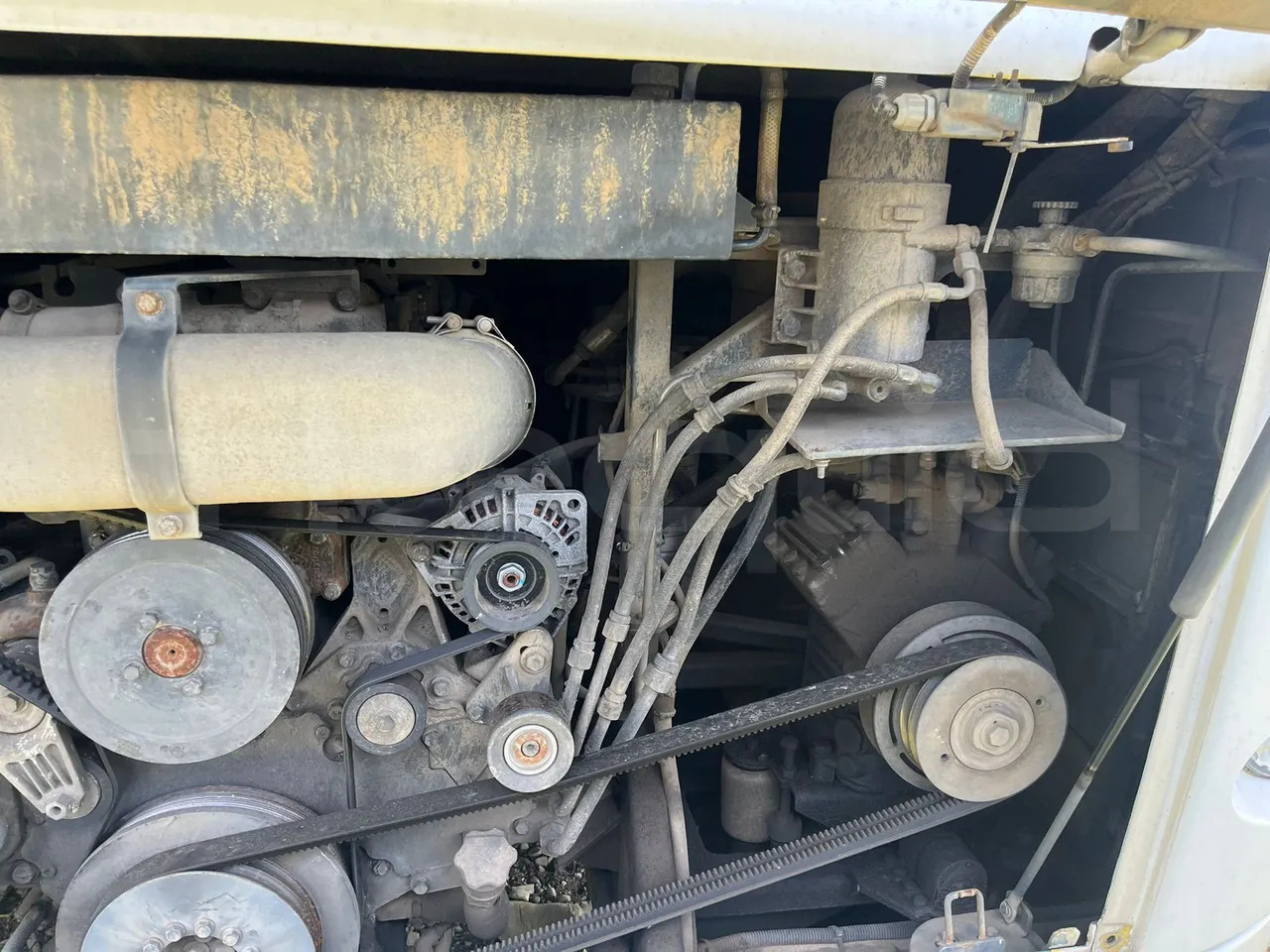 Überlandbus Temsa Safari: das Bild 12