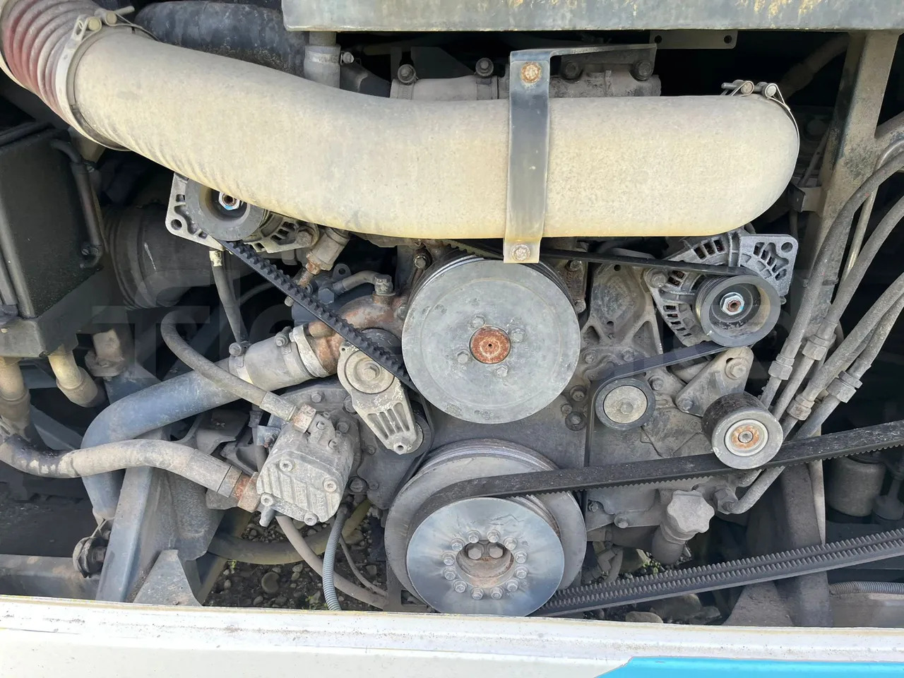 Überlandbus Temsa Safari: das Bild 11