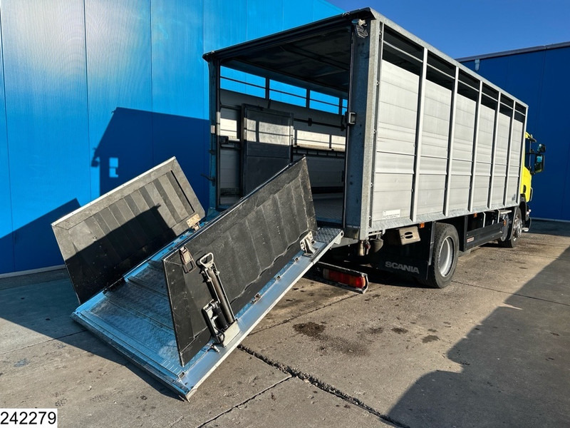 Scania P 320 EURO 5, Manual transmission, Retarder - Tiertransporter LKW: das Bild 4 Scania P 320 EURO 5, Manual transmission, Retarder - Tiertransporter LKW: das Bild 4