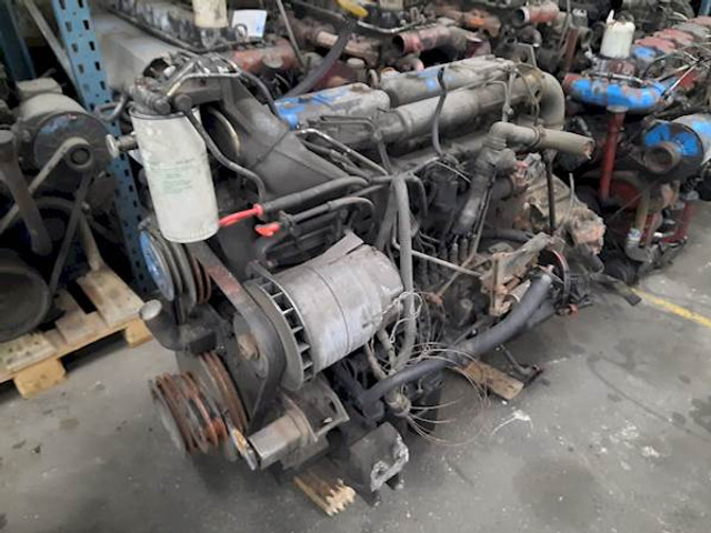 DAF WS242L - Motor für Bus: das Bild 1 DAF WS242L - Motor für Bus: das Bild 1