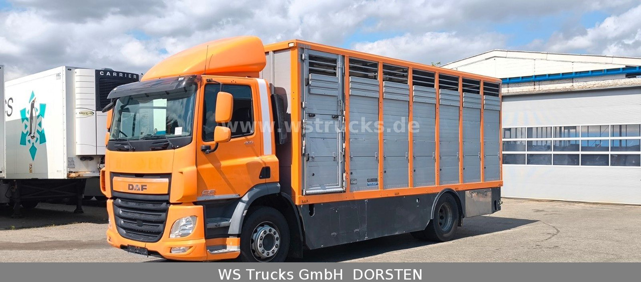 DAF CF 400 Menke Einstock - Pferdetransporter: das Bild 3 DAF CF 400 Menke Einstock - Pferdetransporter: das Bild 3