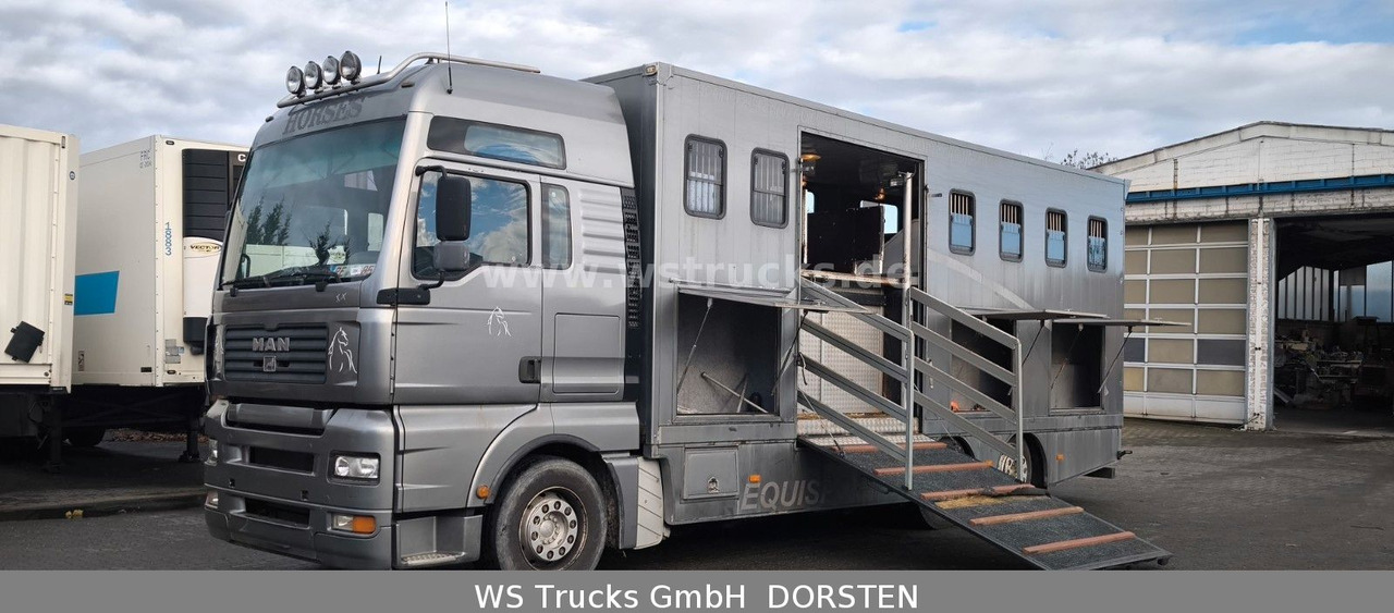 MAN TGA 26.480 FG 6x2 Pferdetransporter Luft/Luft - Pferdetransporter: das Bild 1 MAN TGA 26.480 FG 6x2 Pferdetransporter Luft/Luft - Pferdetransporter: das Bild 1
