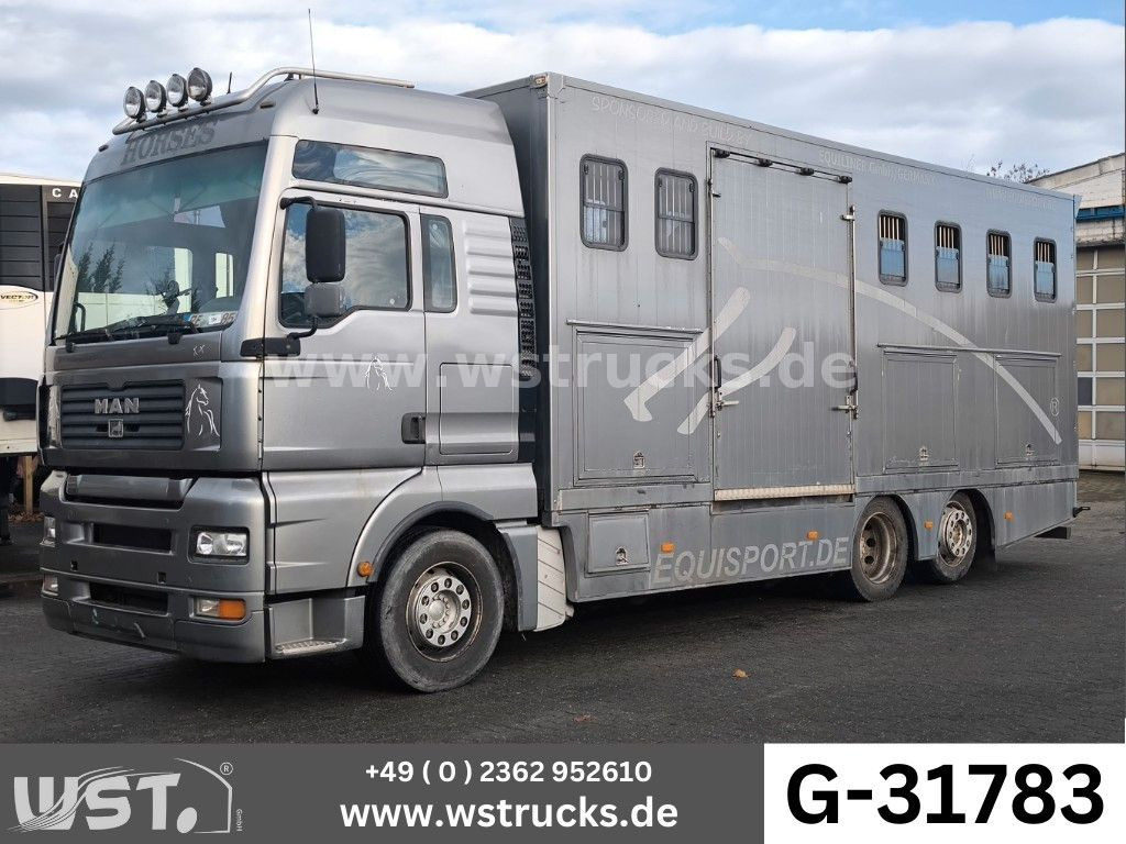 MAN TGA 26.480 FG 6x2 Pferdetransporter Luft/Luft - Pferdetransporter: das Bild 1 MAN TGA 26.480 FG 6x2 Pferdetransporter Luft/Luft - Pferdetransporter: das Bild 1