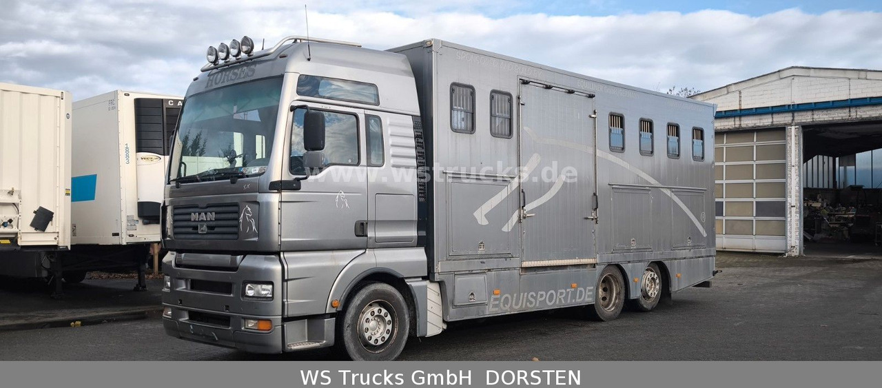 MAN TGA 26.480 FG 6x2 Pferdetransporter Luft/Luft - Pferdetransporter: das Bild 2 MAN TGA 26.480 FG 6x2 Pferdetransporter Luft/Luft - Pferdetransporter: das Bild 2
