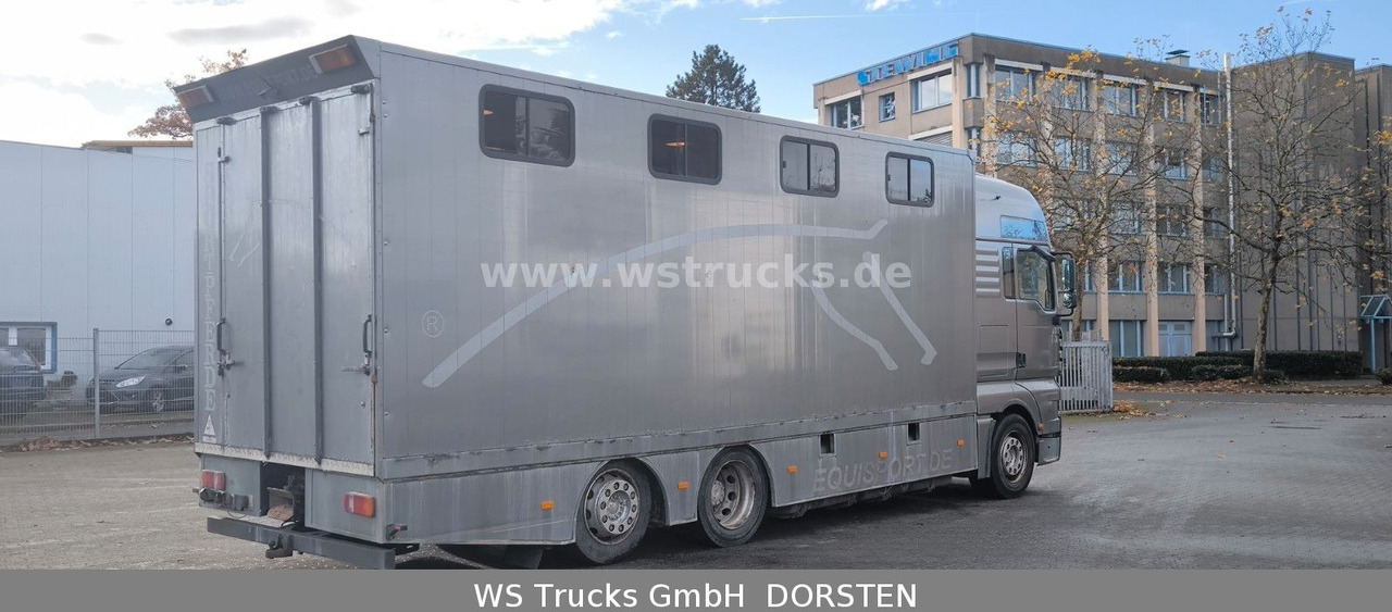 MAN TGA 26.480 FG 6x2 Pferdetransporter Luft/Luft - Pferdetransporter: das Bild 4 MAN TGA 26.480 FG 6x2 Pferdetransporter Luft/Luft - Pferdetransporter: das Bild 4