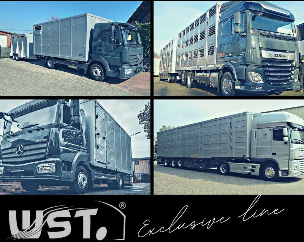 Pferdetransporter, Zustand - NEU MAN TGA 26.480 FG   6x2 Pferdetransporter Luft/Luft: das Bild 21