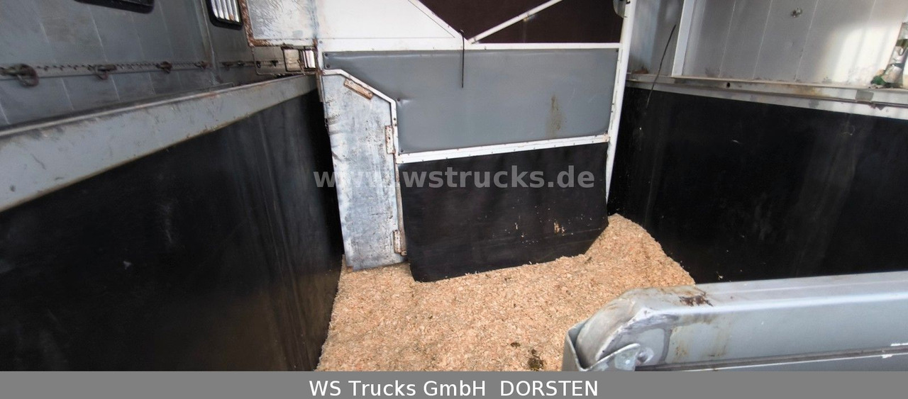 Pferdetransporter, Zustand - NEU MAN TGA 26.480 FG   6x2 Pferdetransporter Luft/Luft: das Bild 16