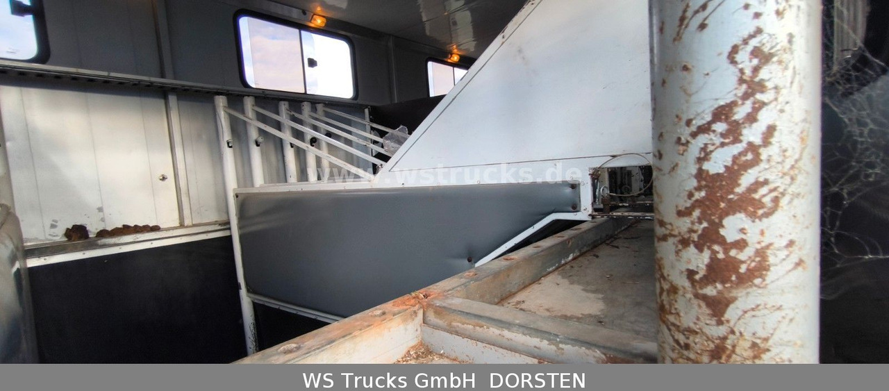 Pferdetransporter, Zustand - NEU MAN TGA 26.480 FG   6x2 Pferdetransporter Luft/Luft: das Bild 9