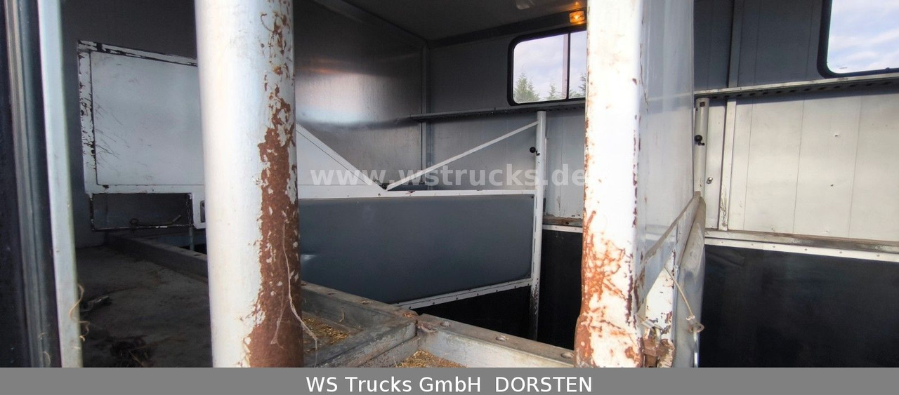 Pferdetransporter, Zustand - NEU MAN TGA 26.480 FG   6x2 Pferdetransporter Luft/Luft: das Bild 7