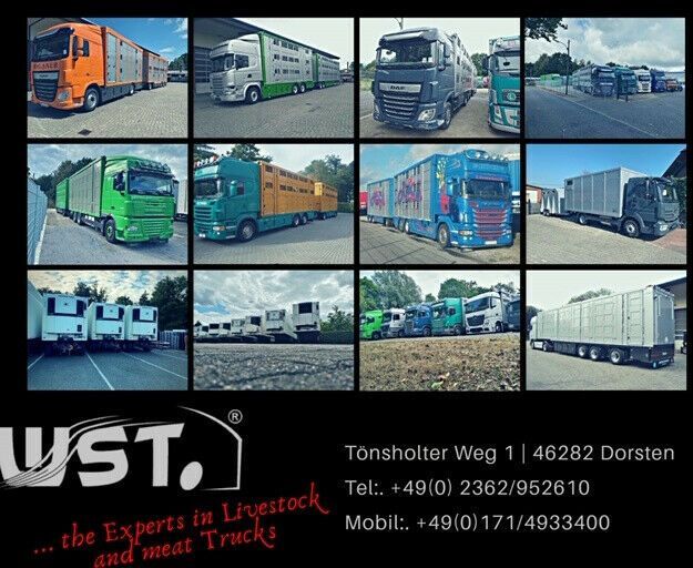 Menke-Janzen Menke 3 Stock Ausahrbares Dach Vollalu Typ 2 - Tiertransporter Anhänger: das Bild 4 Menke-Janzen Menke 3 Stock Ausahrbares Dach Vollalu Typ 2 - Tiertransporter Anhänger: das Bild 4