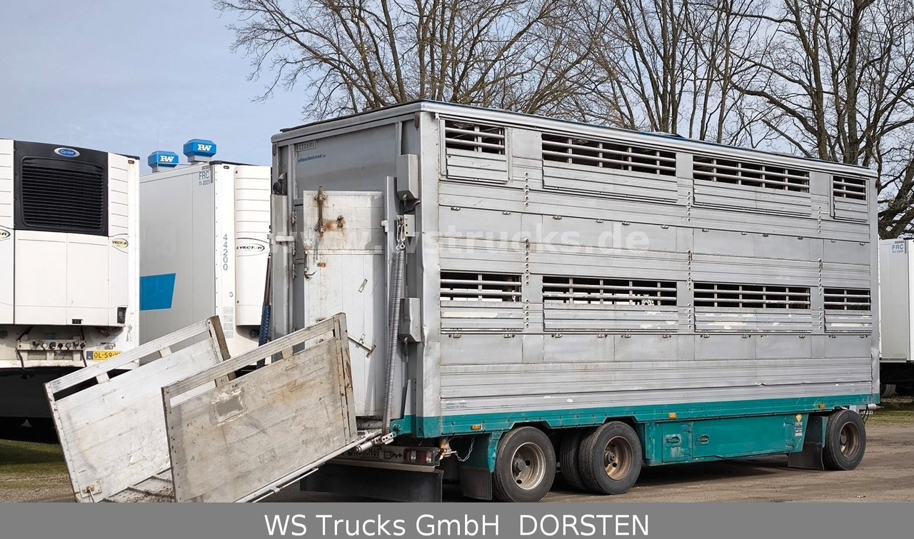 Pezzaioli Pezzaiolli 2 Stock RBA31F ausfahrbares Dach - Tiertransporter Anhänger: das Bild 5 Pezzaioli Pezzaiolli 2 Stock RBA31F ausfahrbares Dach - Tiertransporter Anhänger: das Bild 5