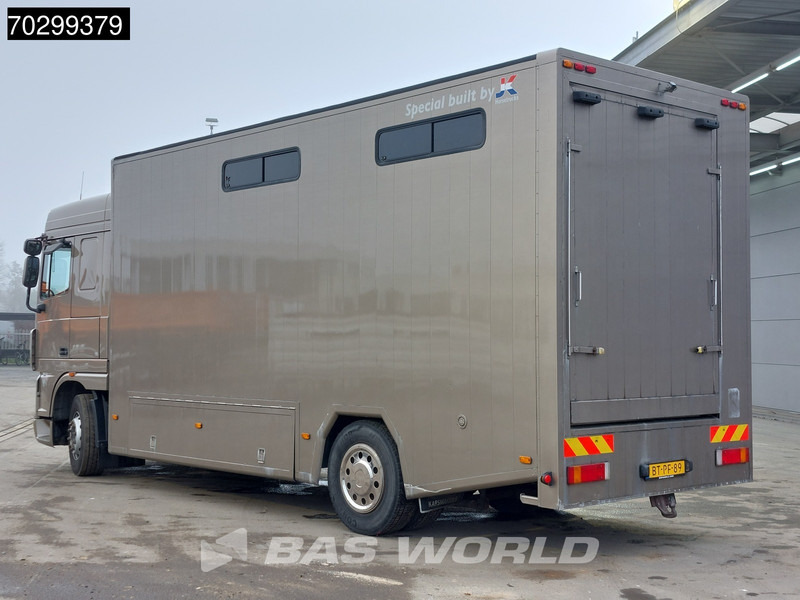DAF XF105.410 XF 4X2 NL-Truck JK Horsetruck 6 Horses Pferdentransport Manual Euro 5 - Pferdetransporter: das Bild 2 DAF XF105.410 XF 4X2 NL-Truck JK Horsetruck 6 Horses Pferdentransport Manual Euro 5 - Pferdetransporter: das Bild 2
