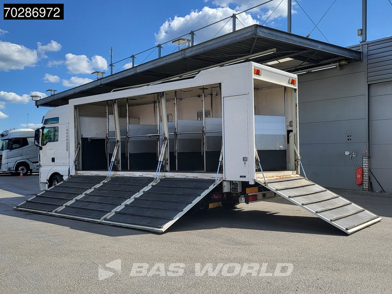 MAN TGX 26.480 TGX 6X2 NL-Truck BDF HorseTransport Lift+steering axle Standklima Automatic Xenon Alcoa´s Euro 5 - Containerwagen/ Wechselfahrgestell LKW: das Bild 2 MAN TGX 26.480 TGX 6X2 NL-Truck BDF HorseTransport Lift+steering axle Standklima Automatic Xenon Alcoa´s Euro 5 - Containerwagen/ Wechselfahrgestell LKW: das Bild 2