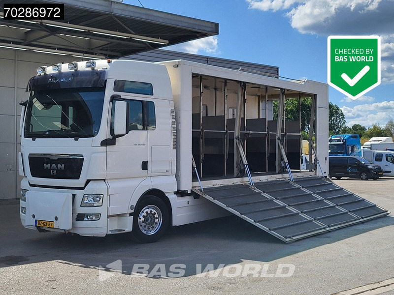 MAN TGX 26.480 TGX 6X2 NL-Truck BDF HorseTransport Lift+steering axle Standklima Automatic Xenon Alcoa´s Euro 5 - Containerwagen/ Wechselfahrgestell LKW: das Bild 1 MAN TGX 26.480 TGX 6X2 NL-Truck BDF HorseTransport Lift+steering axle Standklima Automatic Xenon Alcoa´s Euro 5 - Containerwagen/ Wechselfahrgestell LKW: das Bild 1