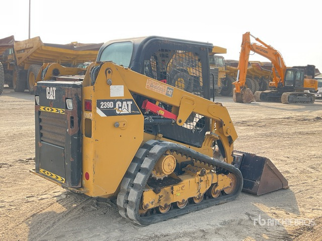 2019 Cat 239D - Deltalader: das Bild 4 2019 Cat 239D - Deltalader: das Bild 4