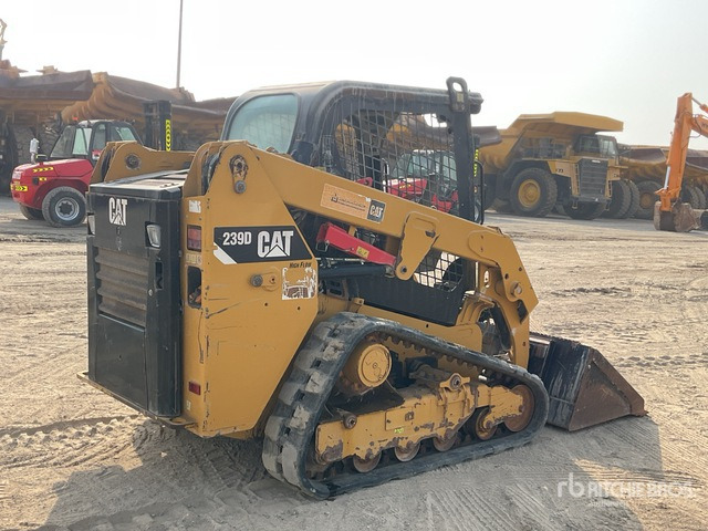 2020 Cat 239D - Deltalader: das Bild 3 2020 Cat 239D - Deltalader: das Bild 3