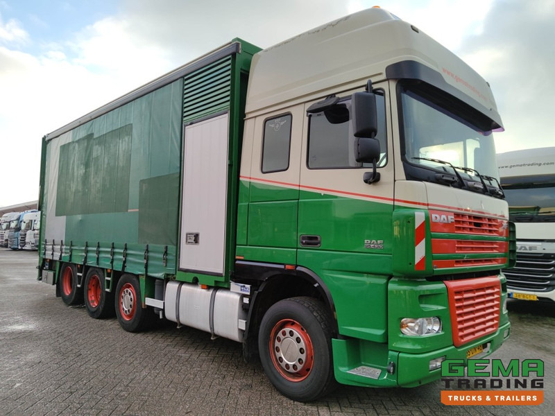 DAF FAK XF95.430 8x2 Super SuperSpaceCab Euro3 - CurtainSider 7.31m + Ramp 16T - MachineTransporter - 6 Persons (V558) - Autotransporter LKW: das Bild 3 DAF FAK XF95.430 8x2 Super SuperSpaceCab Euro3 - CurtainSider 7.31m + Ramp 16T - MachineTransporter - 6 Persons (V558) - Autotransporter LKW: das Bild 3
