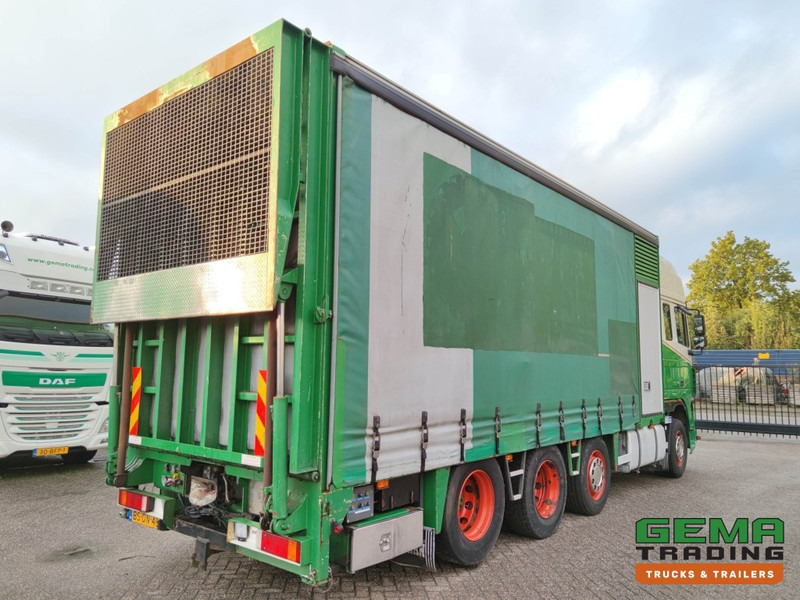 DAF FAK XF95.430 8x2 Super SuperSpaceCab Euro3 - CurtainSider 7.31m + Ramp 16T - MachineTransporter - 6 Persons (V558) - Autotransporter LKW: das Bild 4 DAF FAK XF95.430 8x2 Super SuperSpaceCab Euro3 - CurtainSider 7.31m + Ramp 16T - MachineTransporter - 6 Persons (V558) - Autotransporter LKW: das Bild 4