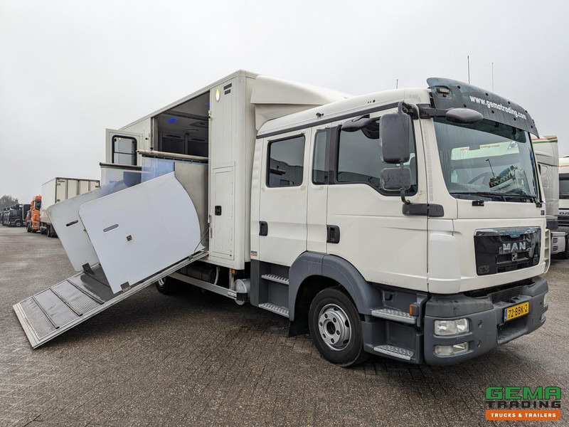 MAN TGL 12.180 4x2 DoKa 7 pers. Euro5 EEV - Paardenwagen 2-Paards - 147.000km! - MARGE - Pferdetransporter: das Bild 1 MAN TGL 12.180 4x2 DoKa 7 pers. Euro5 EEV - Paardenwagen 2-Paards - 147.000km! - MARGE - Pferdetransporter: das Bild 1