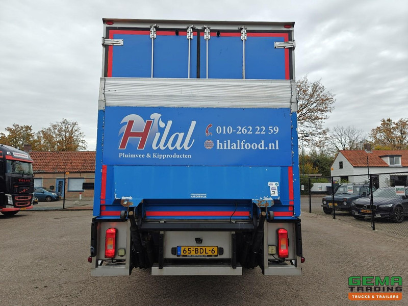 Kühlkoffer LKW Volvo FE 250 4x2 Slaapcab Euro6 - Koel-Vriesbak 7.5m + Carrier Supra 750 Mt + Laadklep 2000kg - 01/2026 APK: das Bild 10